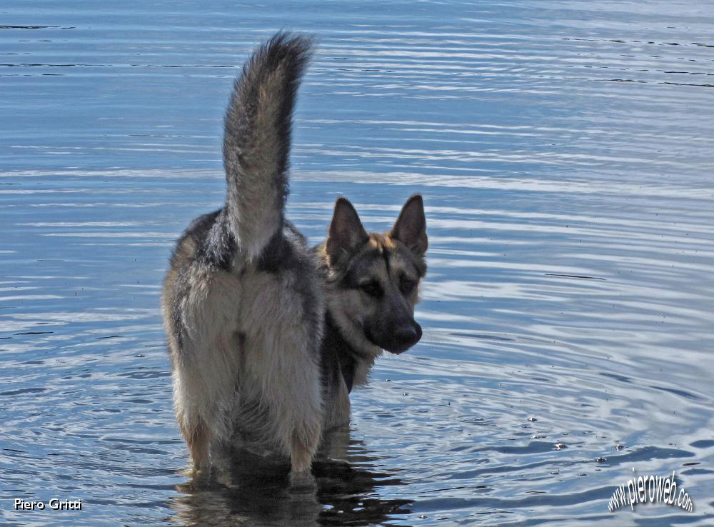 35 si consola in acqua!.JPG